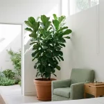 Grote kamerplant in rustige zorgkamer naast fauteuil, nachtkastje met water, daglicht en zicht op minimalistische binnentuin